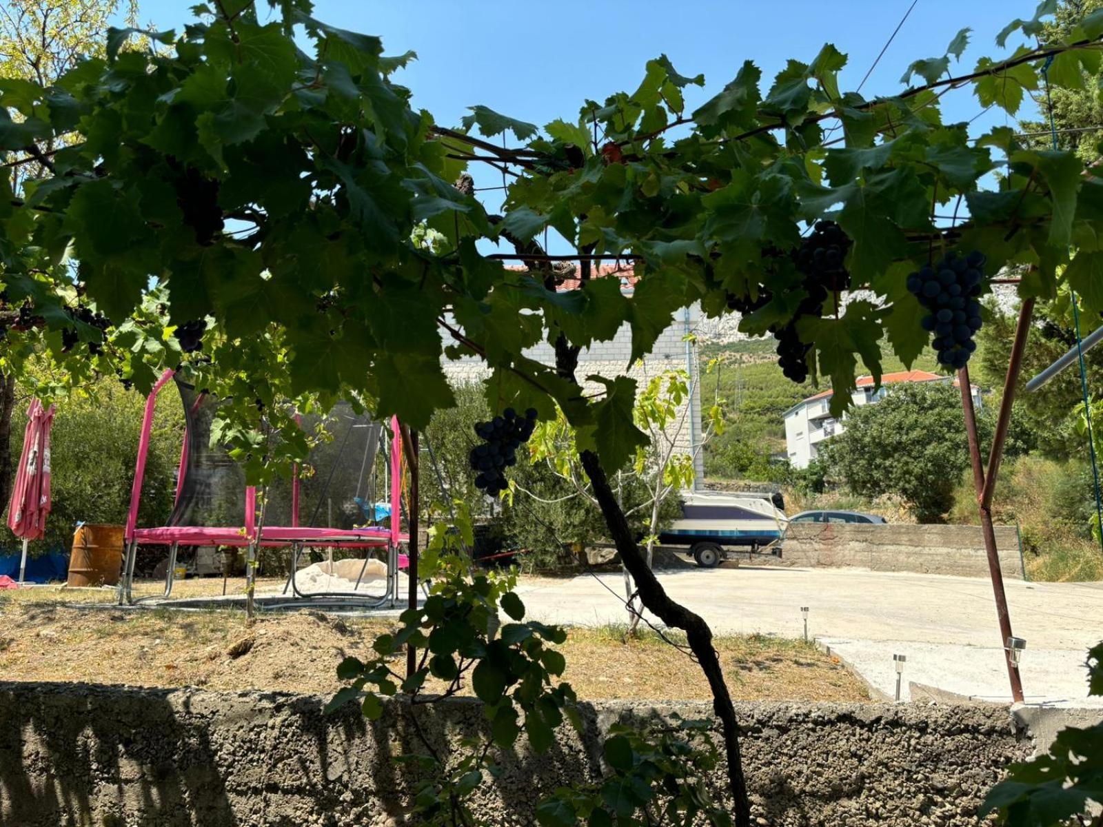 M&M Pelivan Apartments Solin Exterior foto